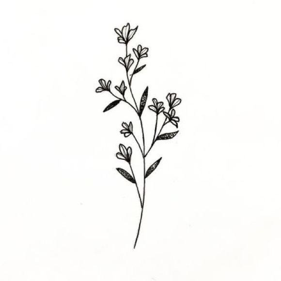 bethicuss